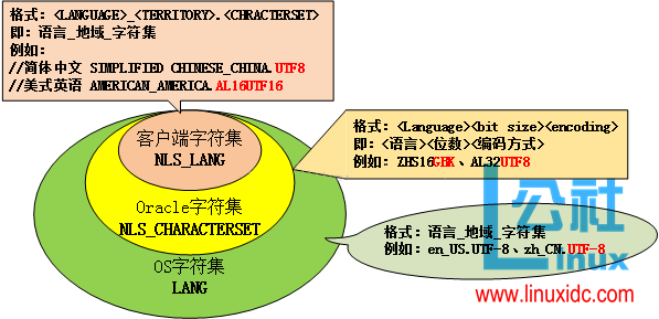 Oracle字符集详解：图表解析与中文乱码解决方案