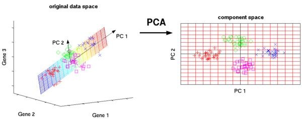 研究机器学习（Machine Learning）的程序员必知的10大算法