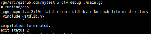 docker dlv进行debug时报_cgo_export.c:3:10错误怎么解决