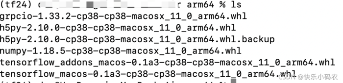 Macbook M1避坑指南：安装Apple-TensorFlow（arm64）