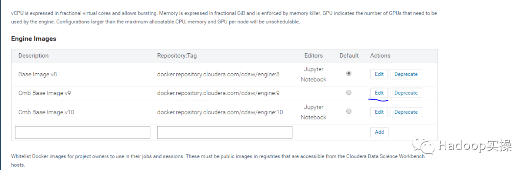 如何解决CDSW中定制docker无法使用Jupyter Notebook问题