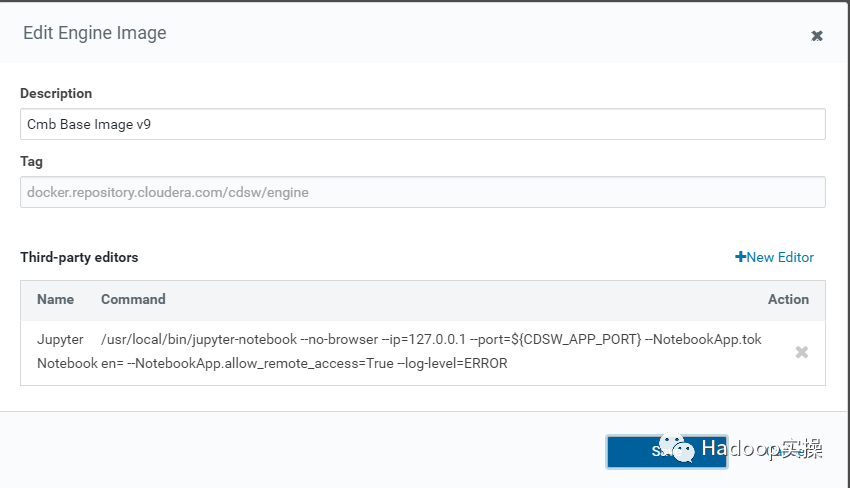 如何解决CDSW中定制docker无法使用Jupyter Notebook问题