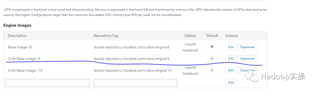 如何解决CDSW中定制docker无法使用Jupyter Notebook问题