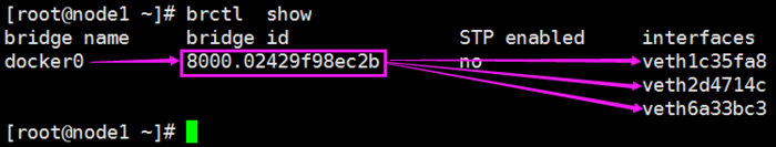 2.Docker基础NameSpace