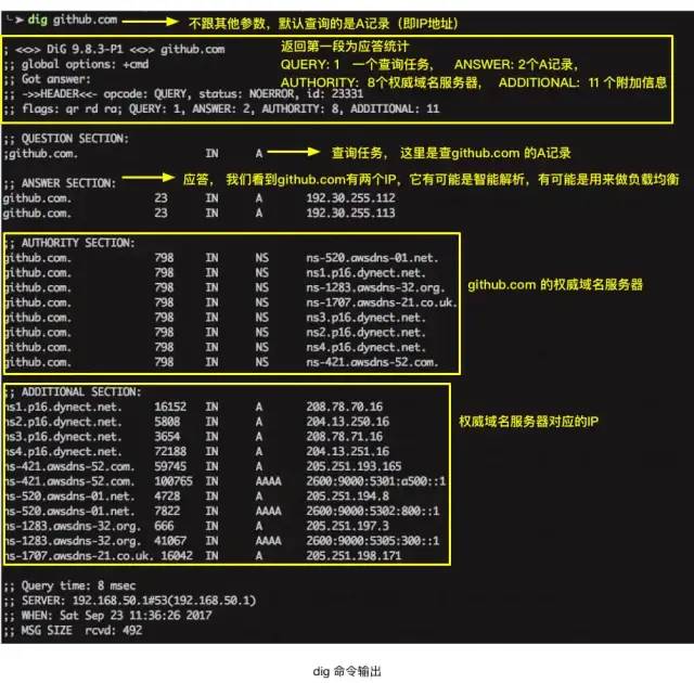 DNS的特点和作用是什么