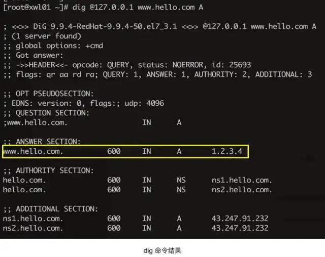 DNS的特点和作用是什么