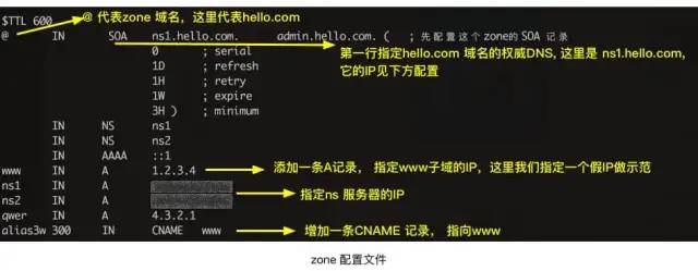 DNS的特点和作用是什么