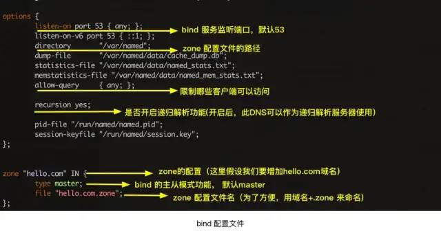 DNS的特点和作用是什么