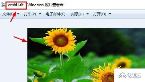 如何在Windows中打开TIF格式文件