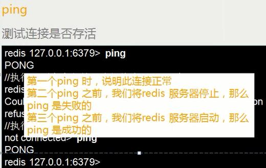 NoSQL数据库之Redis数据库管理五(Redis的常用命令及高级应用)