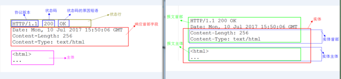 HTTP协议图--HTTP 报文实体