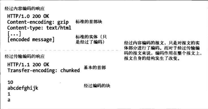 HTTP协议图--HTTP 报文实体