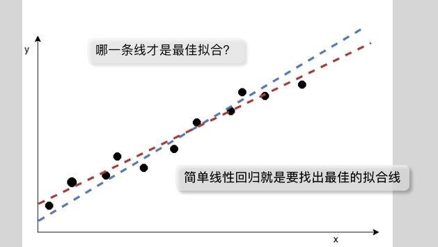 哪一条线有最好的拟合效果