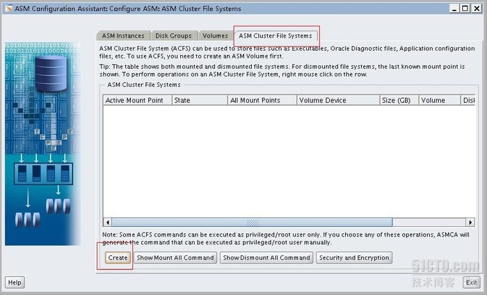 配置Oracle ACFS集群文件系统