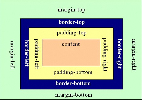 CSS中margin和padding的区别是什么