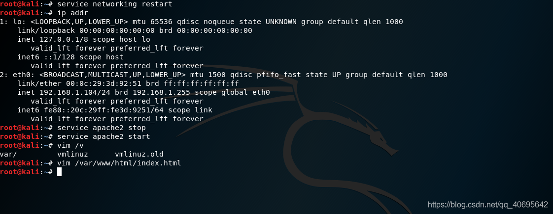 Kali Linux渗透测试Ettercap DNS欺骗攻击