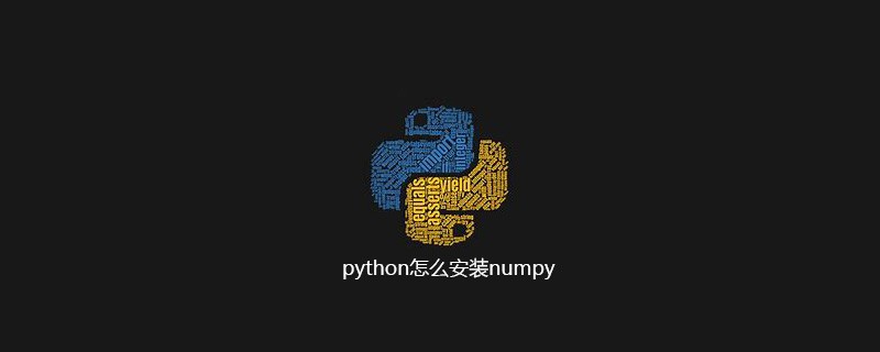 如何在Python中正确安装NumPy库——Python入门指南