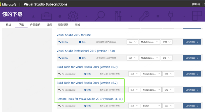 Rust: win10环境如何编译bevy?