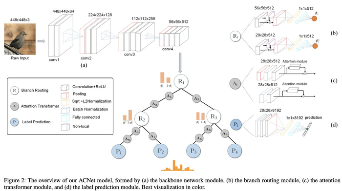 ACNet: 特别的想法，腾讯提出结合注意力卷积的二叉神经树进行细粒度分类 | CVPR 2020