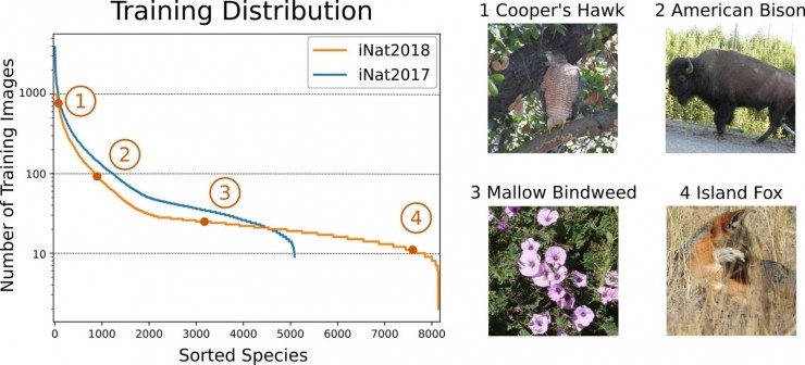 谷歌开启Naturalist 2018挑战赛，大型物种分类技术有望突破