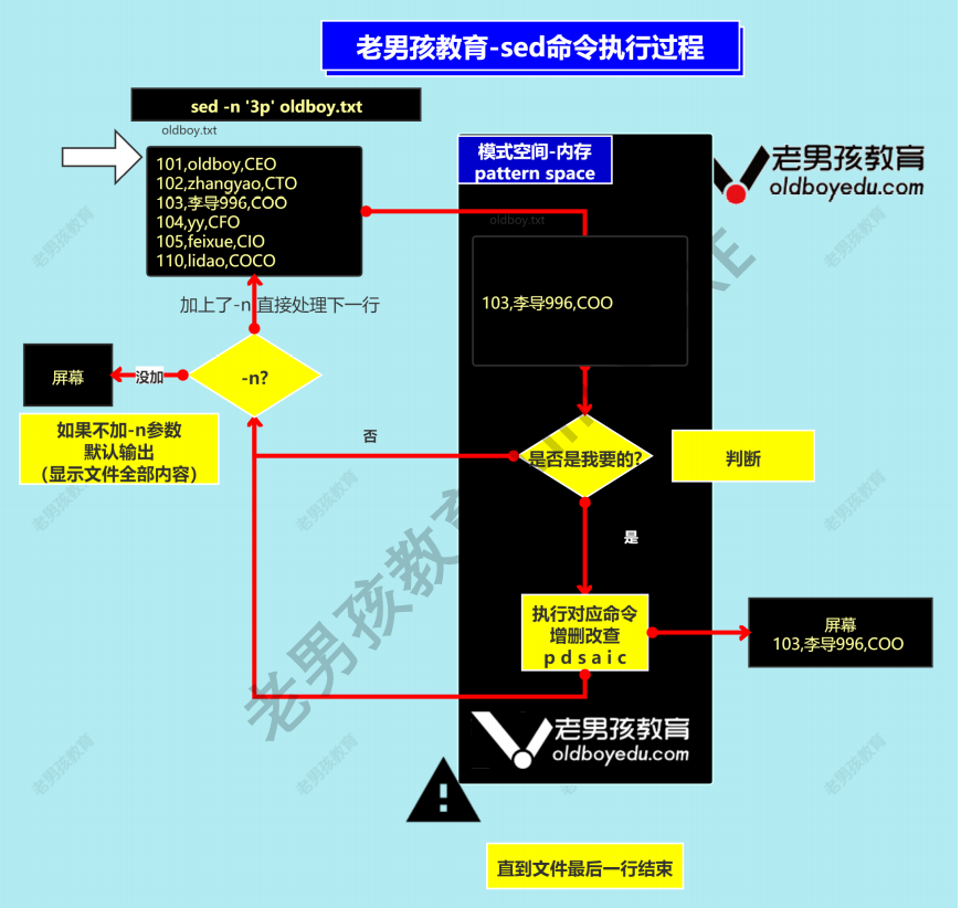 四位剑术高手：sed深入解析与实战应用