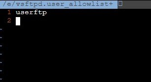 添加ftp用户允许列表