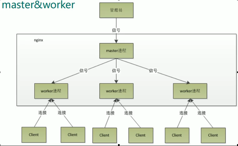 nginx基础之路