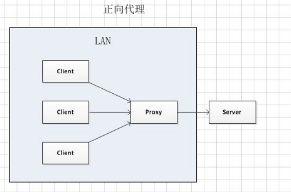 nginx基础之路