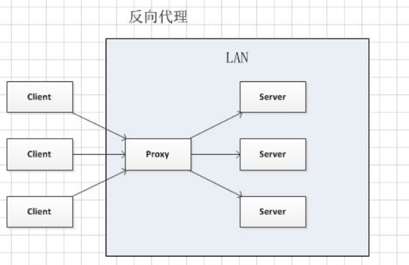 nginx基础之路