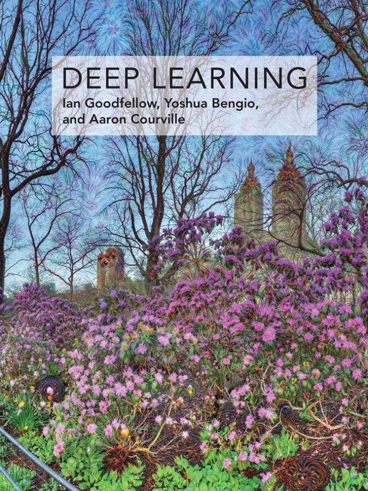 资深算法工程师眼中的深度学习：Ian Goodfellow 和Yoshua Bengio的「Deep Learning」读书分享