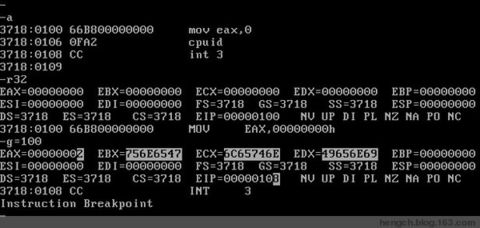 Intel CPU的CPUID指令（一） - whowin - DOS编程技术